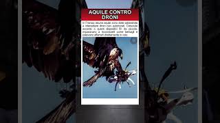 Aquile contro droni
