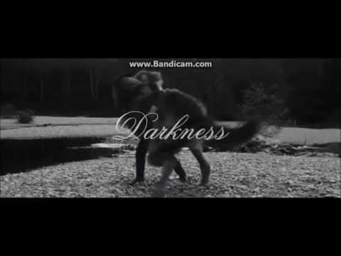 Twilight Wolves - Angel of Darkness