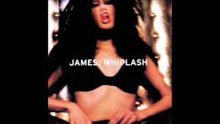 James - Watering Hole