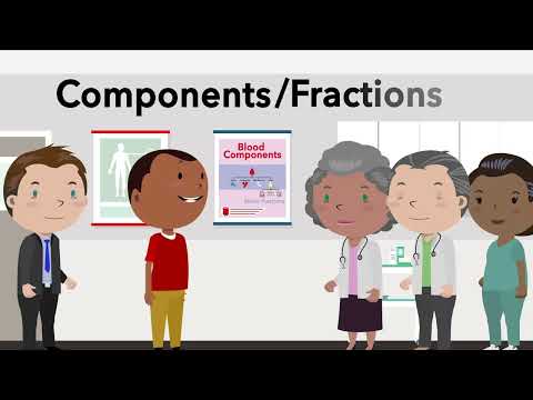 Understanding Blood Components and Fractions.