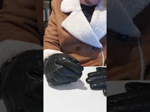 ParvaTV vídeo 17