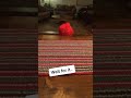 Elmo Fail Shorts Elmo Funny Ticklemeelmo