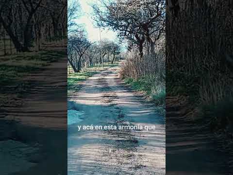 Caminos de ensueño en Las Calles - Valle de Traslasierra, Córdoba, Argentina 🌿🌱🌳