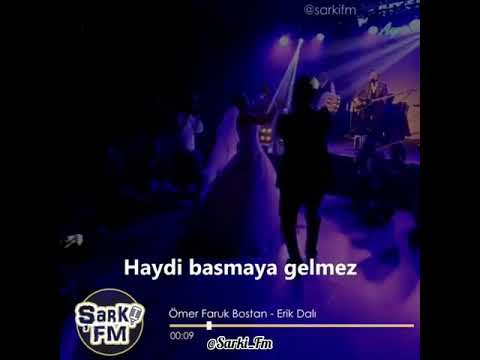 ÖMER FARUK BOSTAN-ERIK DALI