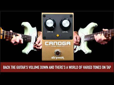 Strymon Canoga Fuzz Pedal image 4