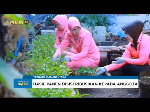 BHAYANGKARI MALUKU UTARA GELAR PANEN PEKARANGAN PANGAN LESTARI