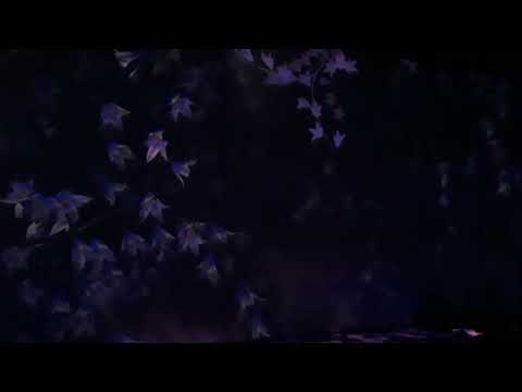 Van Gogh, El Sueño Inmersivo - Córdoba