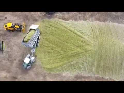 'The Cream of the Crop' Corn Harvest 2020