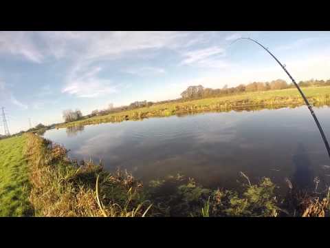 Net failure leads to lost pike