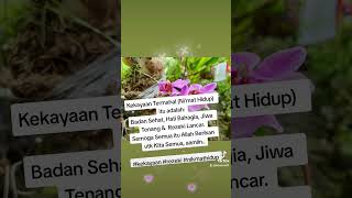 Download lagu Ni'mat hidup itu bila Badan Sehat, Jiwa & Hati Tenang - Rezeki Lancar #nasihatbijak #kekayaan mp3