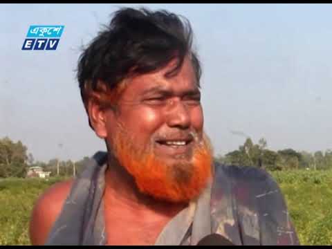 চকরিয়ায় মরিচ বীজ রোপণ করে ক্ষতিগ্রস্ত ৫ শতাধিক কৃষক | ETV News