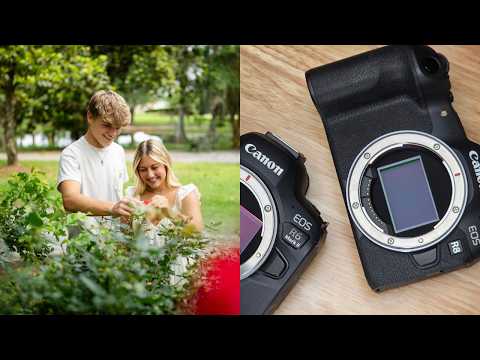 Canon R8 or R6m2 | Which One Is Best For You?