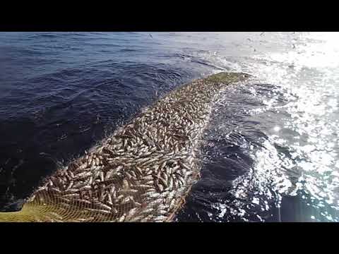 Hochseekutter BIANCA NC312 Cuxhaven