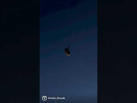 Eagle is coming | Wonderland Canada 🇨🇦