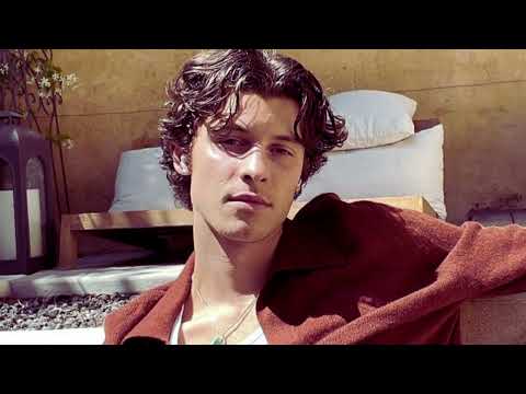 Summer of Love – Shawn Mendes e Tainy