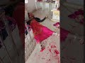 Devi Dasha Ma Ankhol Dham Mo 7802905588