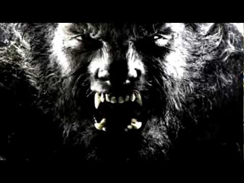 Rockin' Ryan And The Real Goners - I'm The Wolfman