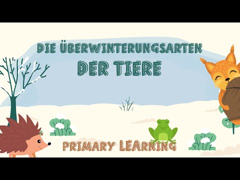 Die Überwinterungsarten - Erklärvideo für Grundschüler*innen