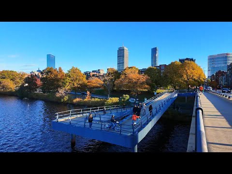 [Autumn's Whispers] Boston's Golden Fall: From Harvard to Longfellow on the Charles River Path 🍂