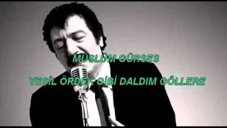 Yeşil Ördek Gibi Daldım Göllere Music Video