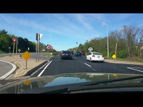 2019.04.15 Who needs blinkers?