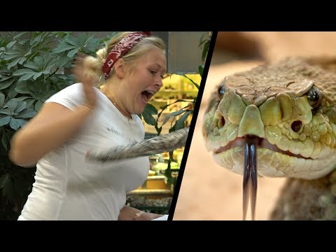 Snakes vs. People - Magic iPad Prank