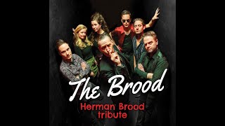 The Brood - Herman Brood Tribute Band - [Official Video Clip]