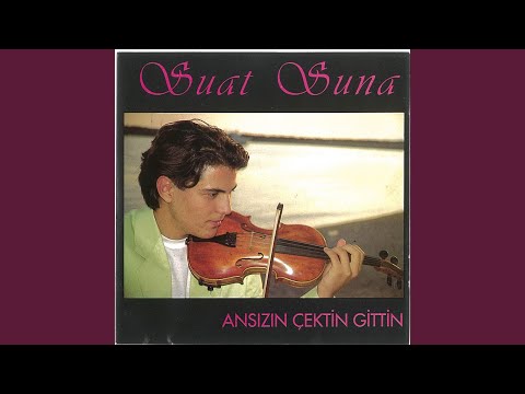 Ansızın Çektin Gittin