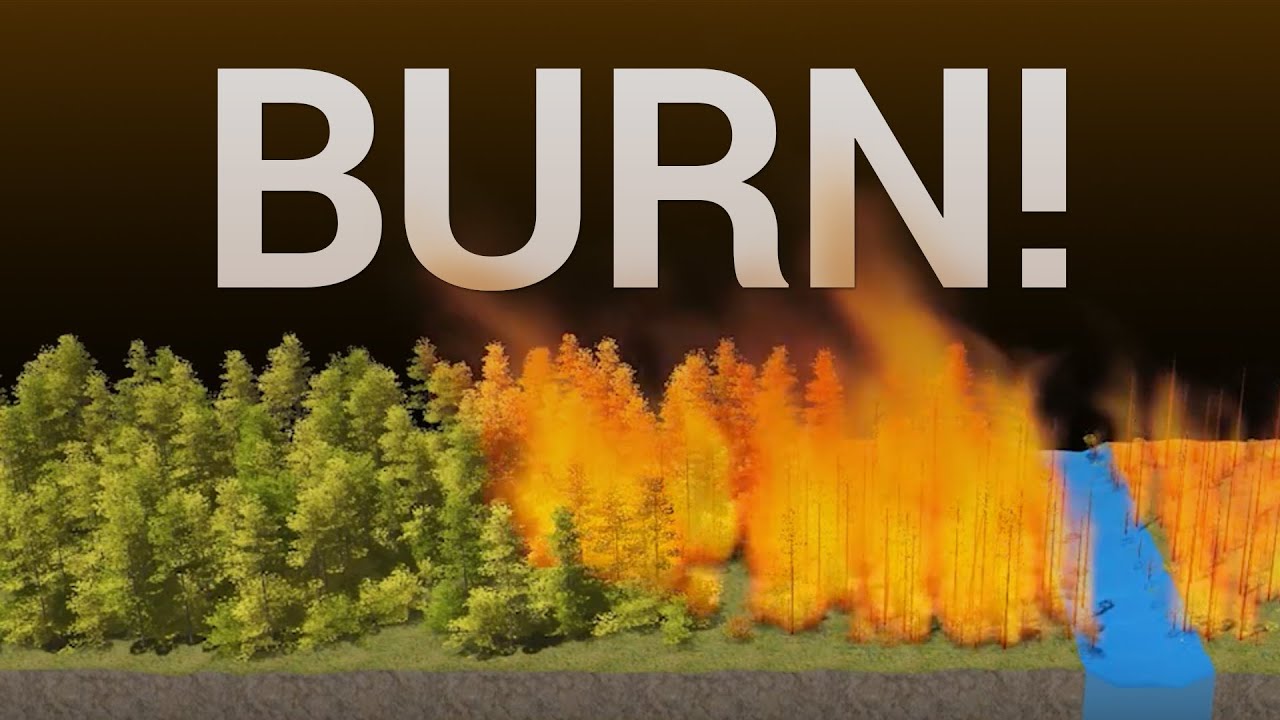 Burning Down an Entire Virtual Forest! 🌲🔥