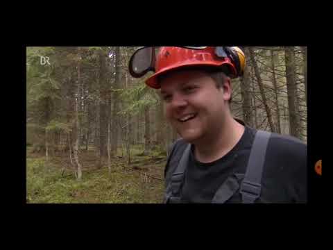 Max Grünzinger Best OF Sprüche 🤣😁(Teil 1)