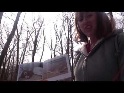 Ishi: Simple Tips from a Solid Friend read by Mrs  Thomas