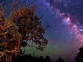 Astral Luminous-Cosmic Dream 