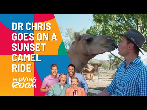 Sunset Camel Ride In Alice Springs | The Living Room | Channel 10