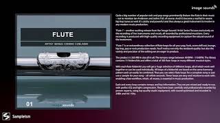 Video thumbnail for Flute // Sample Pack // Loops // Image Sounds by Sampleism