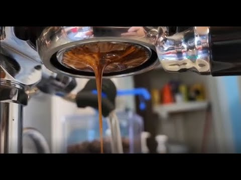 Bellezza Valentina w Eureka Mignon XL