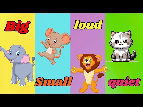 This is Big Big Big | This is Small Small Small | Big and Small Nursery Rhyme For Kids