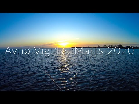 Havrred Bonanza Avn Vig og Halk