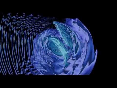 Illegal Tender - Vibrations (Psytrance)