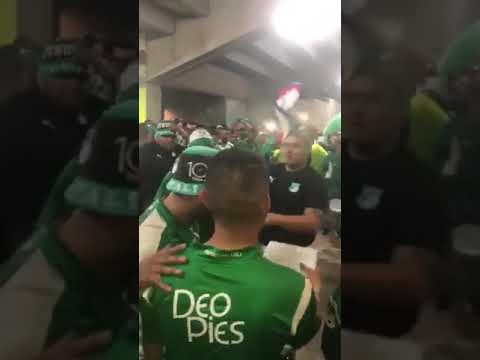 "FRRNTE RADICAL VERDIBLANCO VS naciopan" Barra: Frente Radical Verdiblanco • Club: Deportivo Cali