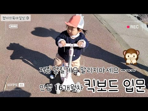 이제 탈것도 가지고다니는 16개월 아기의 가성비좋은 유아킥보드 입문기