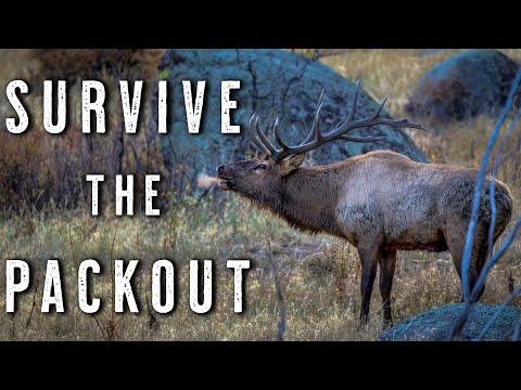 Elk Hunting PACKOUT Tips | How to Survive the Grind After the Kill