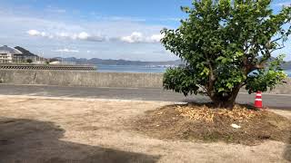 瀬戸内海の海映像LIVE配信