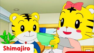 A day in my life! ☀️ | Full Episode #104 | Shimajiro