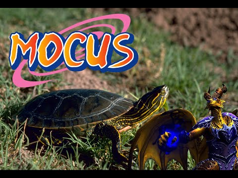 World First Mocus Mythic Scalecommander Sarkareth Kill - Prot Warrior