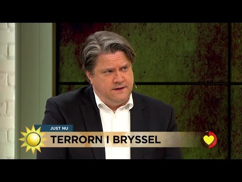 Hans Brun: "Öka samarbetet över nationsgränserna" - Nyhetsmorgon (TV4)