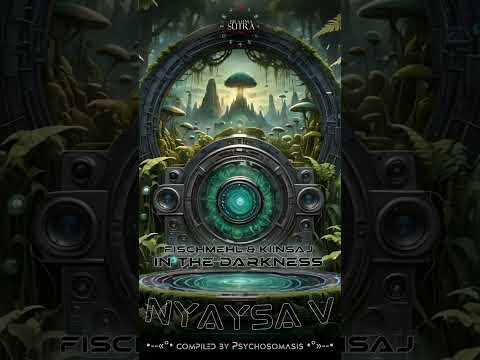 Fischmehl & Kiinsaj - In the Darkness 152#D