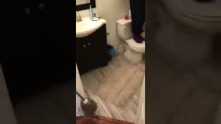 Ridiculous plan to kick out rat out of the house actually works