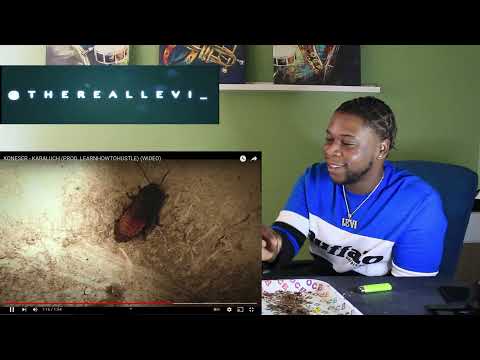 TRL Reaction / KONESER -  KARALUCH PROD. (LEARNHOWTOHUSTLE) (PolishRap)