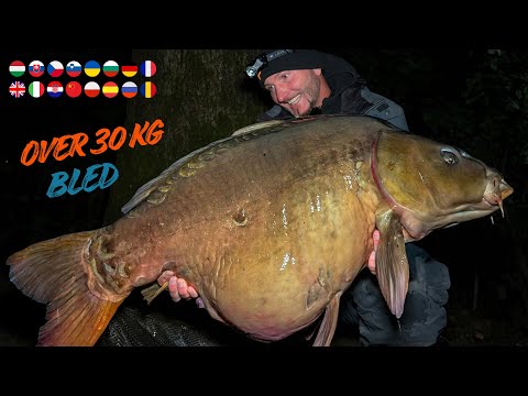 FEEDERMANIA - Bled 2025 ősz. 30 kg felett. Bled 2025 autumn. Over 30 kg!