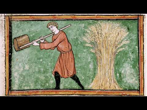 Why Was Barley More Common Than Wheat in Medieval England
